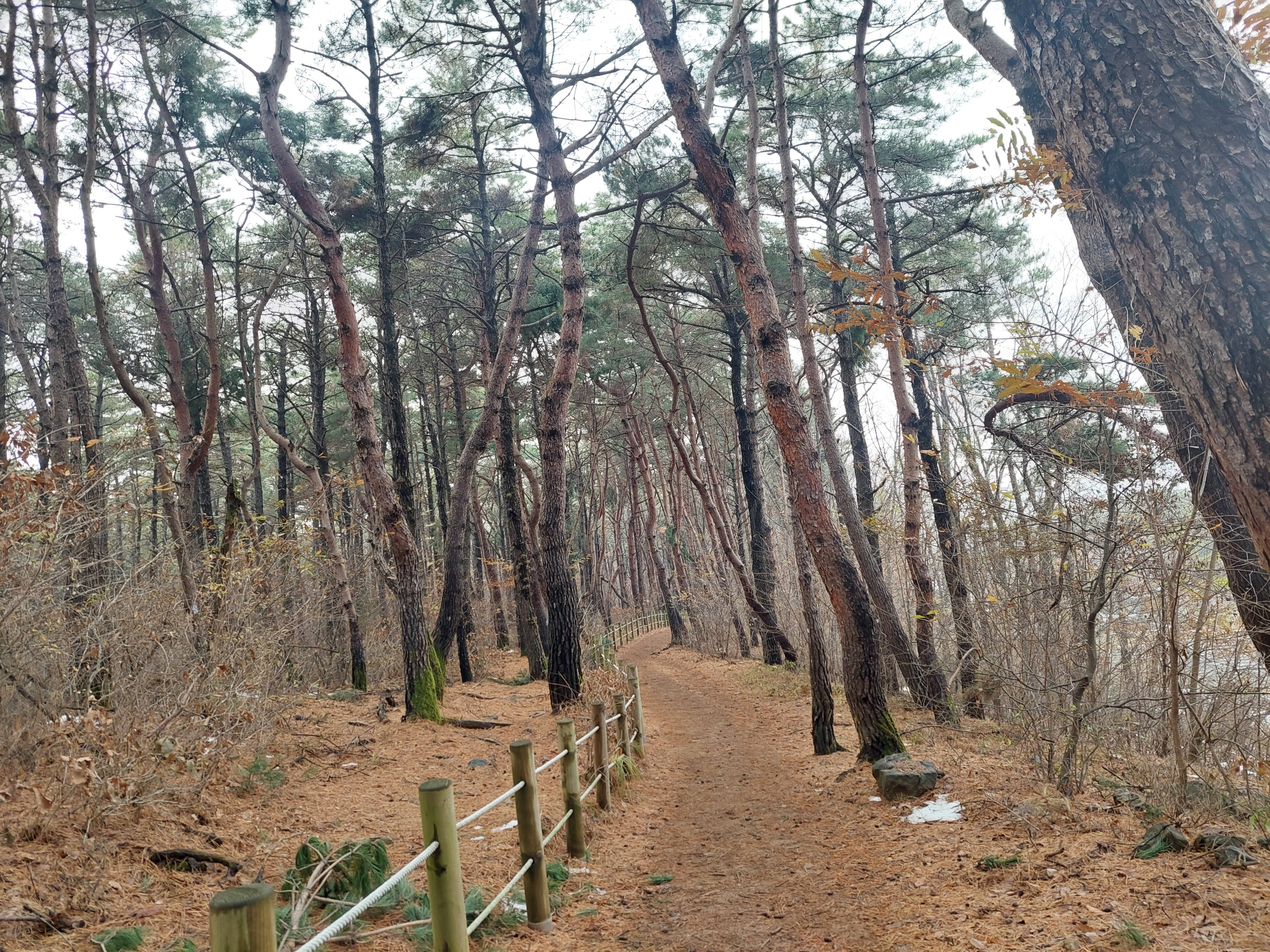 검단산