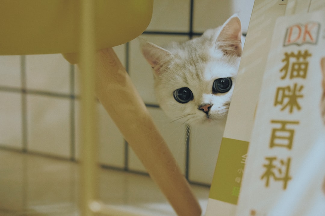 Pet.