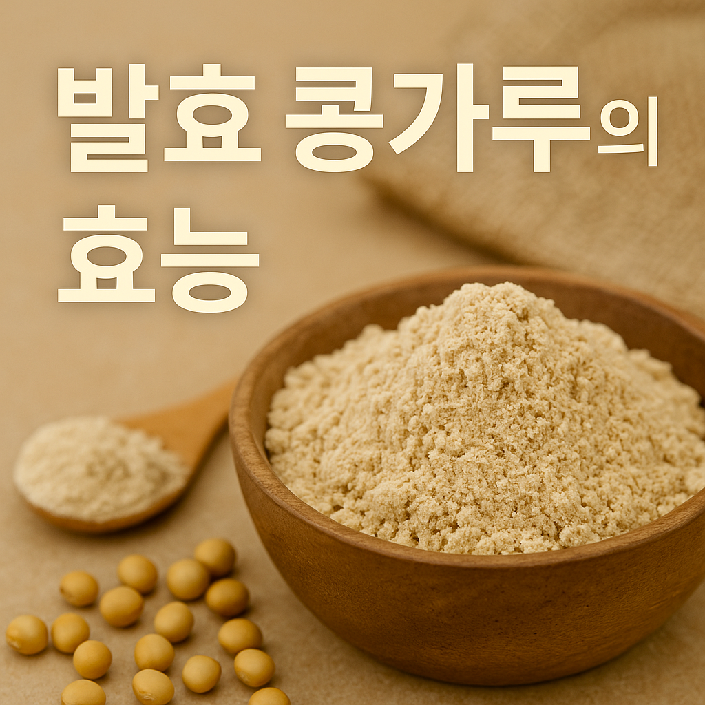 발효 콩가루 효능 - 사진