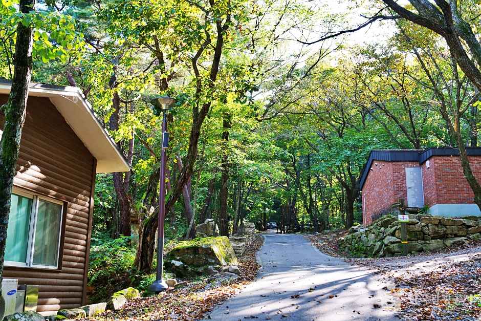 조령산 자연휴양림