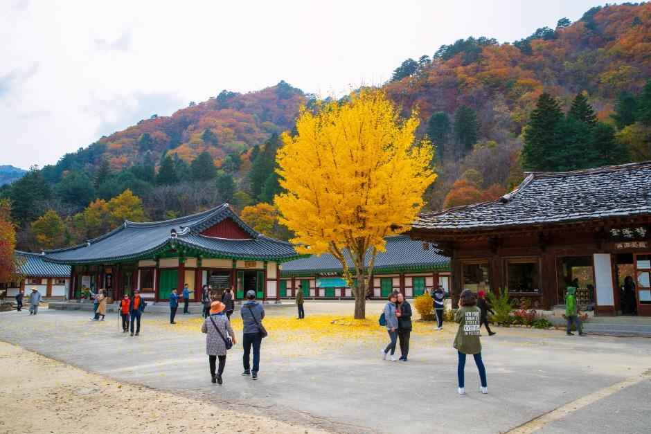 백담사