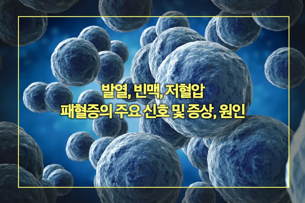 패혈증 증상 원인