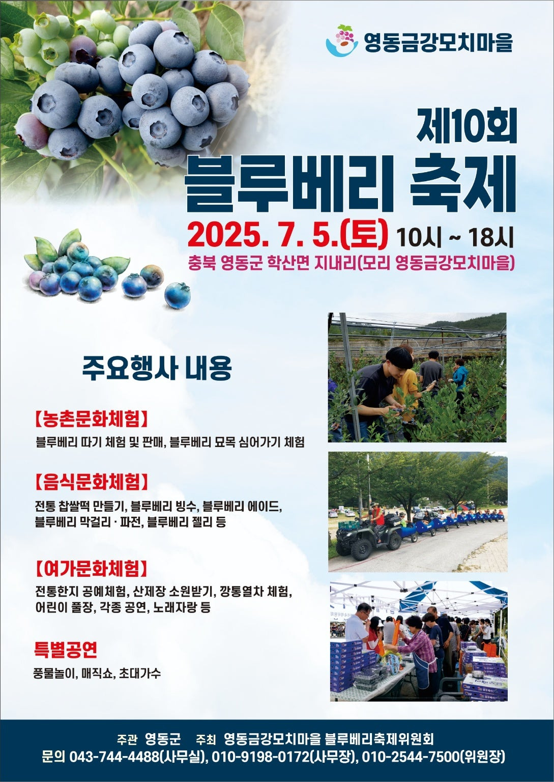 충북영동블루베리축제 포스터