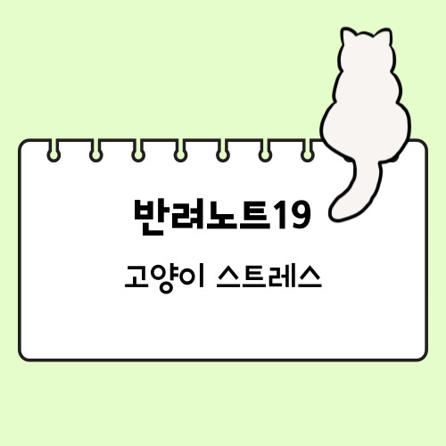 고양이 스트레스 증상과 해소 방법