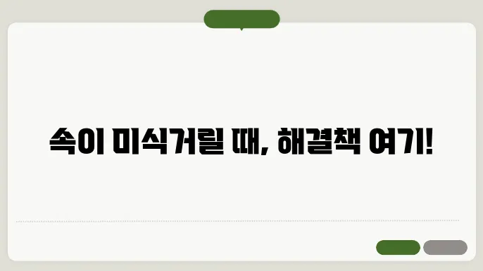 속이 미식거릴때