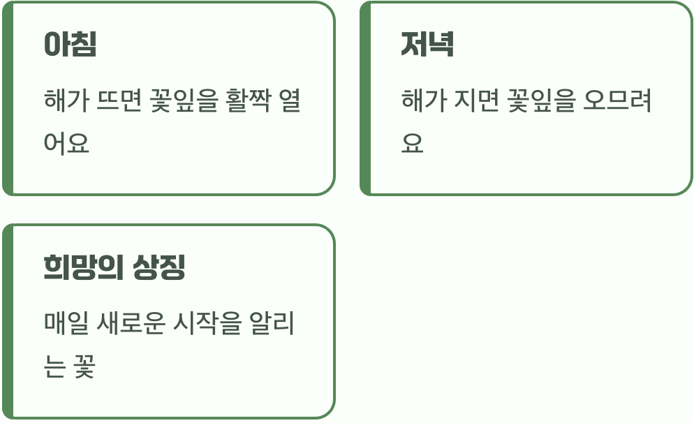 태양의 눈&amp;#44; 그 이름의 비밀