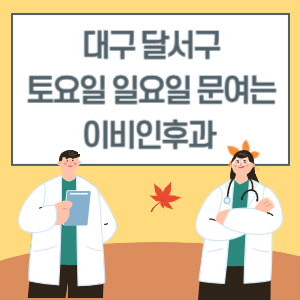 대구 달서구 토요일 일요일 이비인후과 진료 문여는 병원 리스트