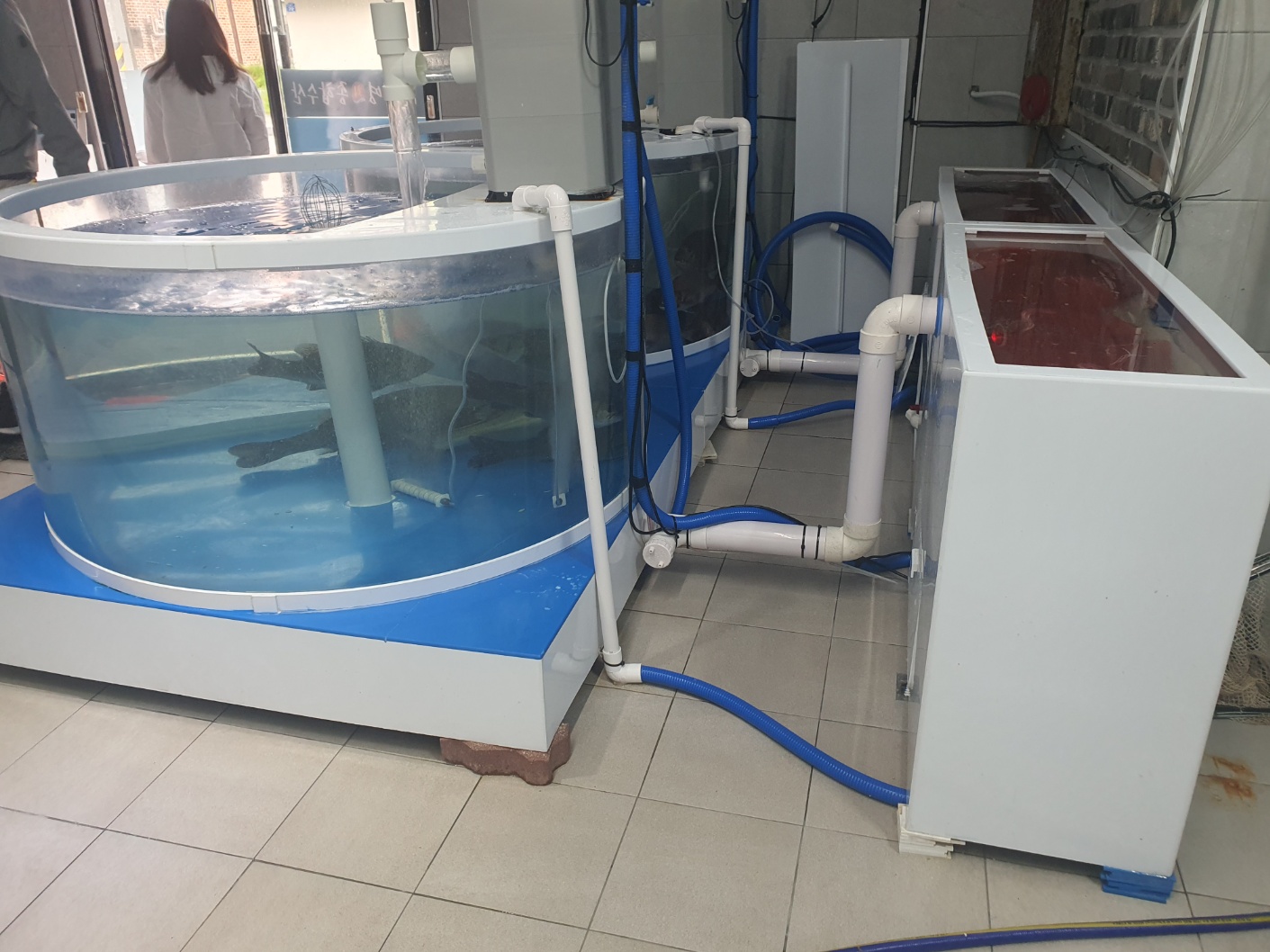 통영회종합수산