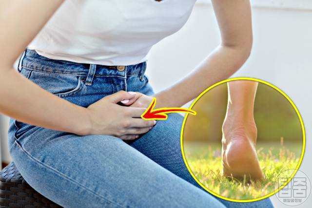 맨발걷기 효능 생리통 맨발걷기의기적