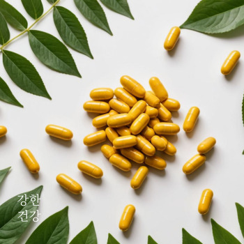 파비플로라 복용법