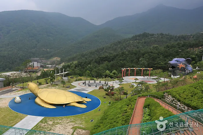 동의보감촌 꽃양귀비 축제 개화 시기와 볼거리_5