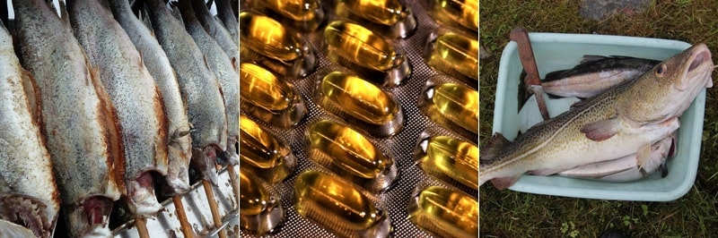 대구 간유의 효능