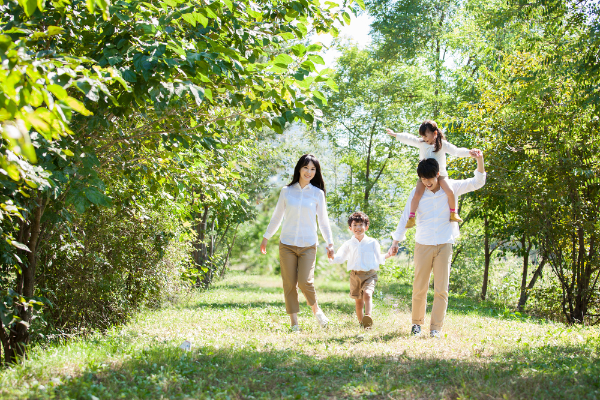 엽록체와 광계의 구조