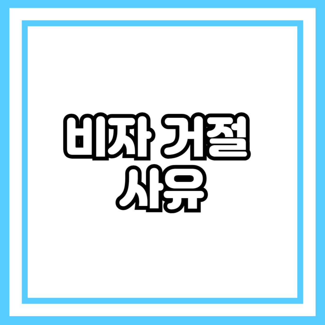 비자 거절 사유, 왜 거절당했을까?