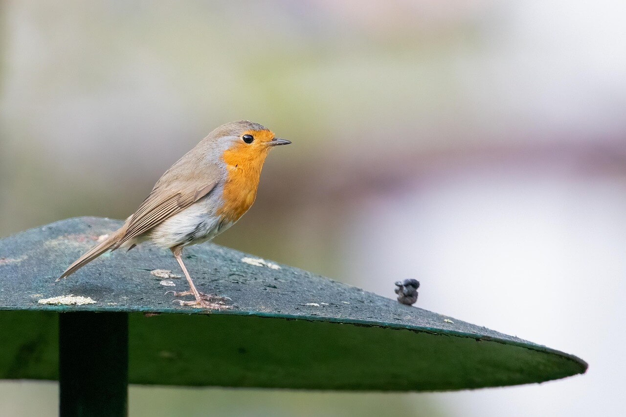 “명일 vs 익일 vs 내일”👉 비슷하지만 다른 ‘내일’의 세 가지 얼굴!