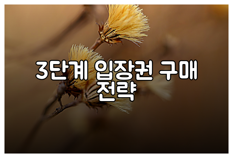 3단계 입장권 구매 전략