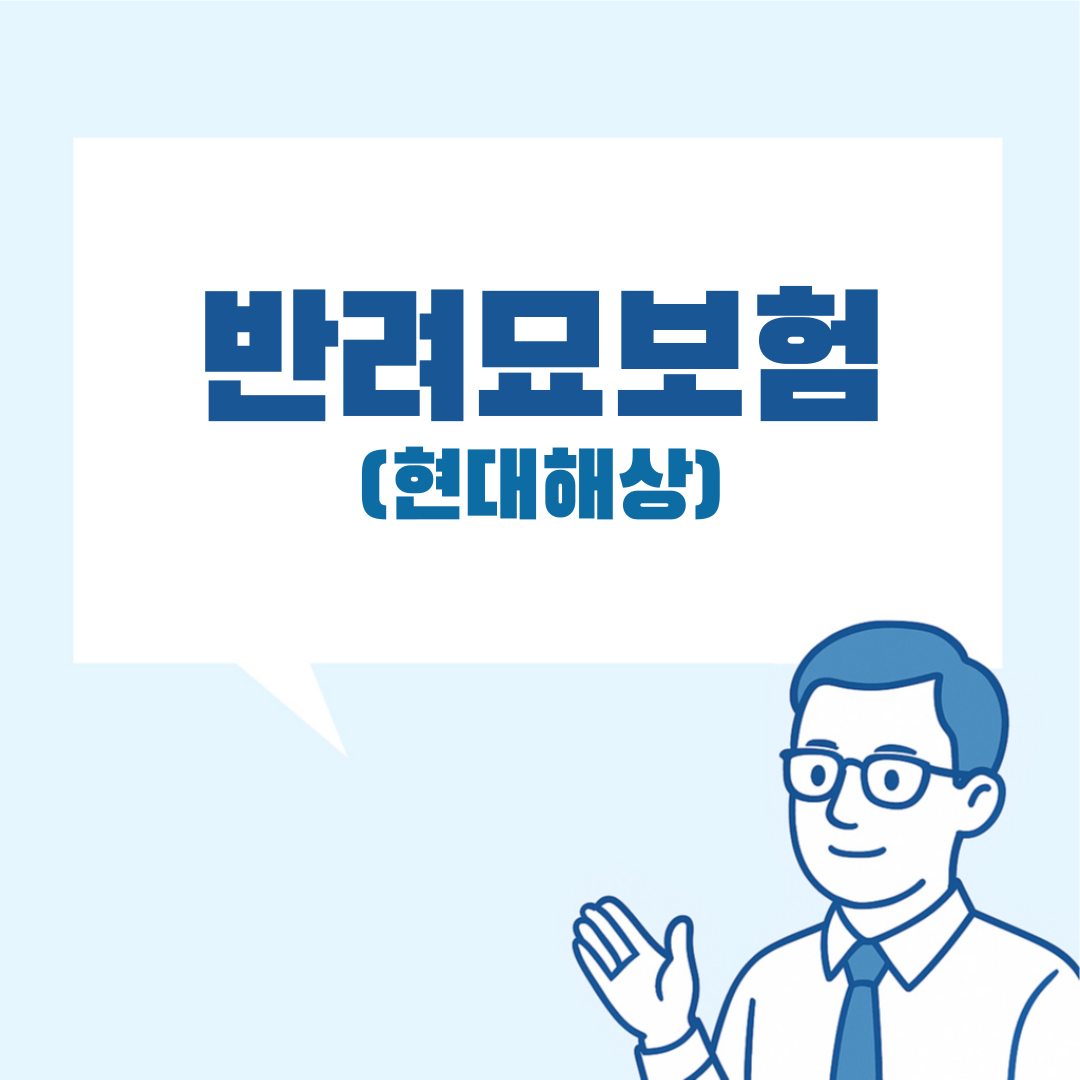 현대해상 펫보험 고양이 설명 이미지