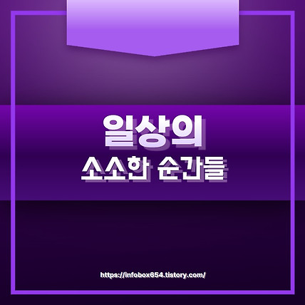 겨울이불 털빠짐 마이크로화이바 구스다운 비용차이 분석