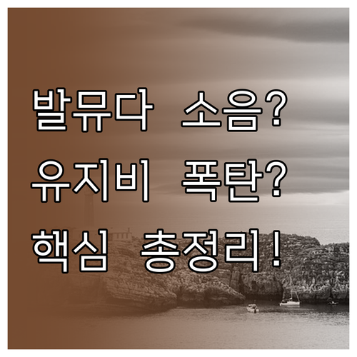 발뮤다 더 퓨어 사용 후기 소음과 유..