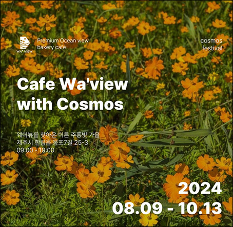 웨이뷰 코스모스 축제
