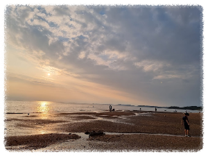 궁평리해수욕장