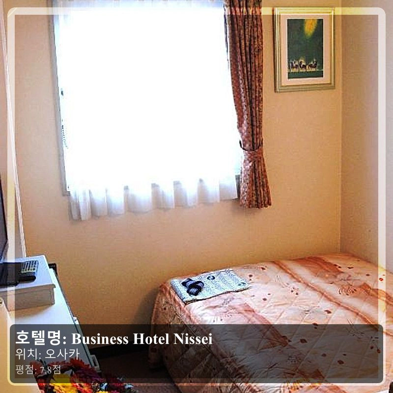 Business Hotel Nissei_3