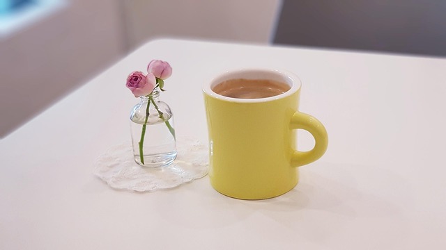 창원시 소비쿠폰