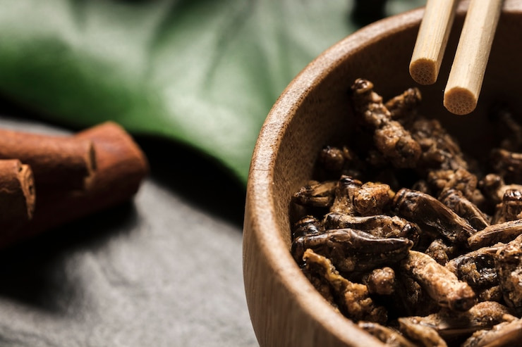 공진단 복용방법