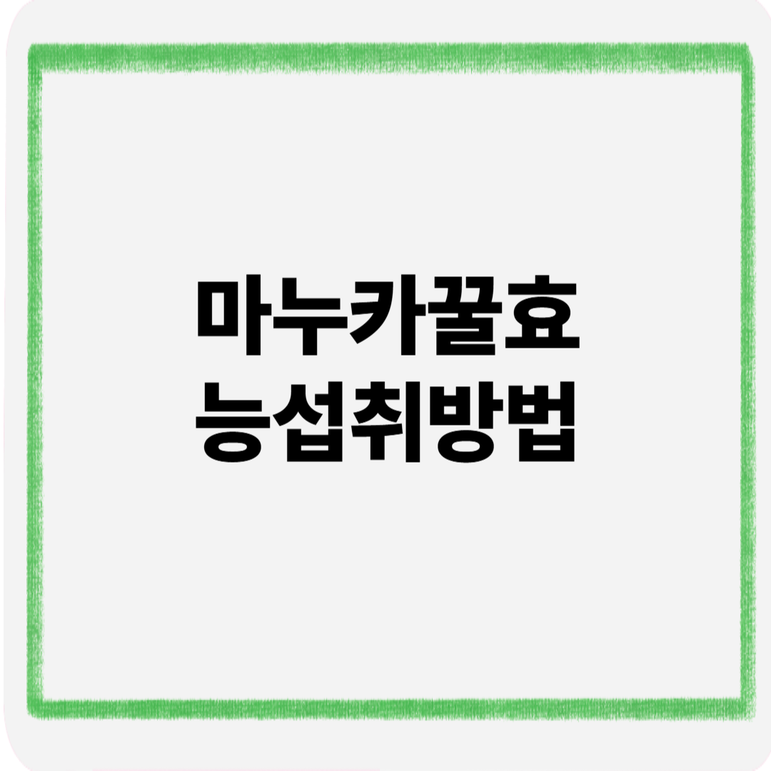 마누카꿀 효능 섭취방법