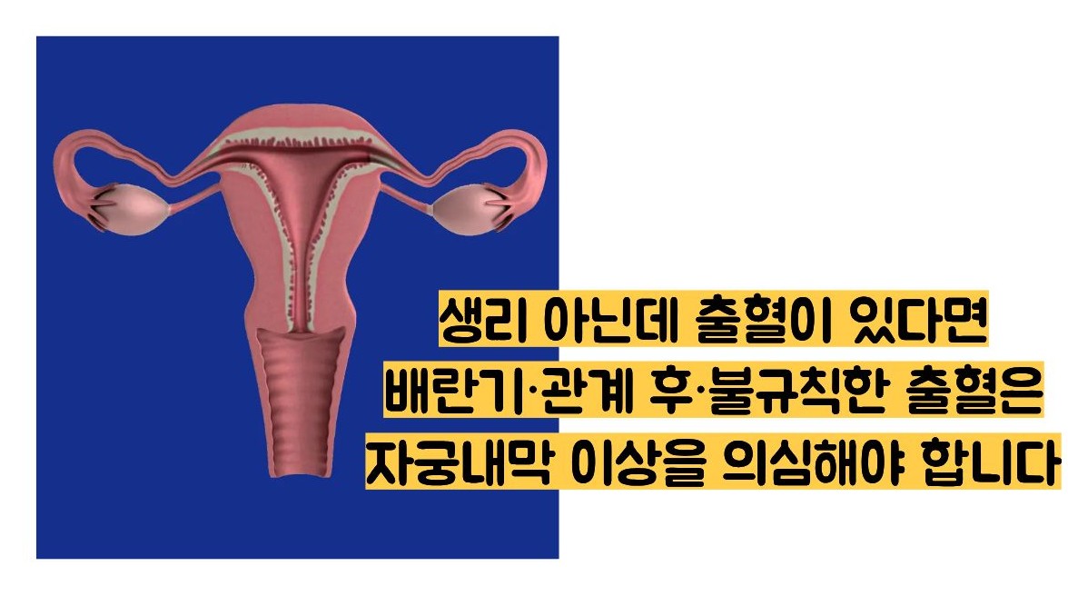 자궁내막 증식증 증상