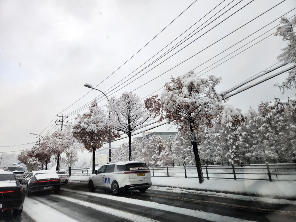 눈오는-날-도로-가로수-