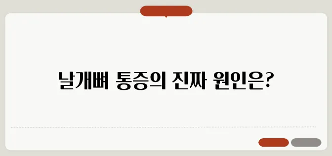 등 부위 날개뼈 통증 원인과 예방방법