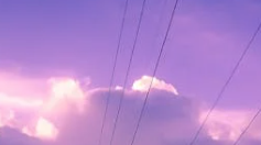 고객번호 조회방법