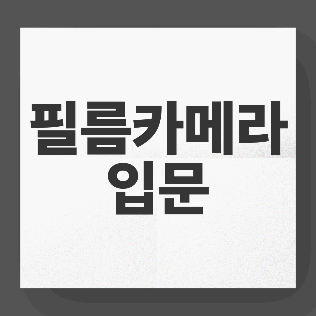 필름카메라 입문, 지금 시작하는 감성 취미