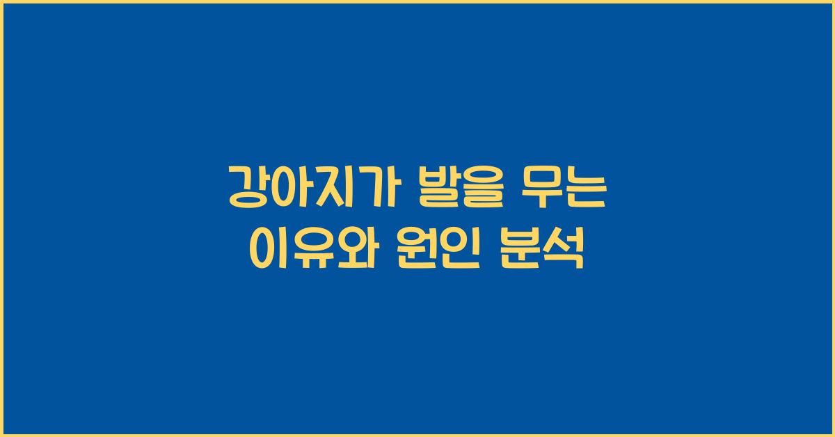 강아지가 발을 무는 이유