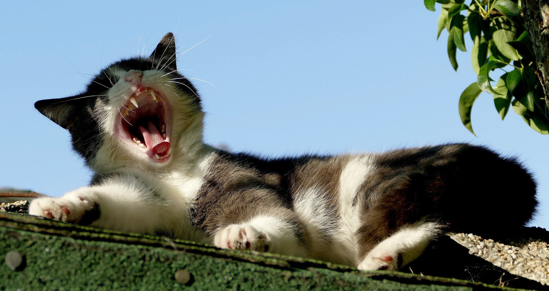 숙면을 위한 실내 온도는 몇 도가 정답일까? 수면의 질이 달라진다