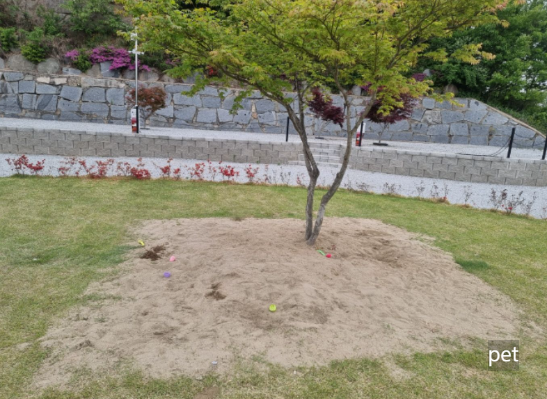 경기-인천-어썸캠핑장-예약-방법-애견-동반-가격-주소-시간-후기