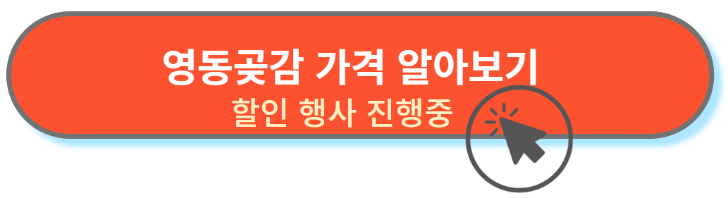 영동곶감 가격보기