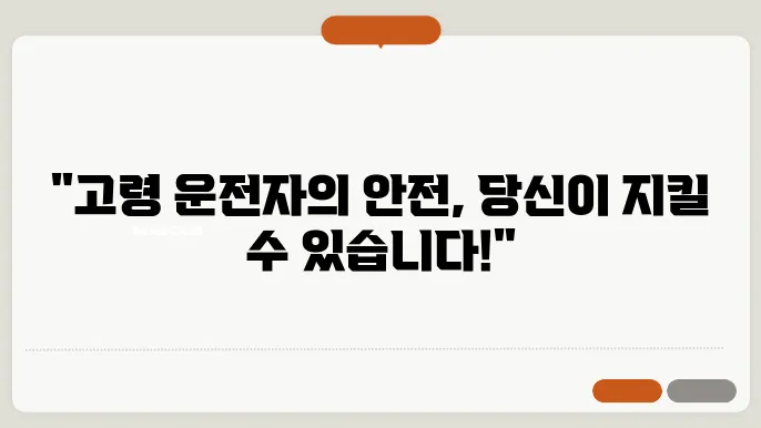 고령 운전자의 안전을 위한 교통교육 프로그램