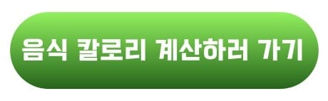 음식 칼로리 계산하러 가기 버튼
