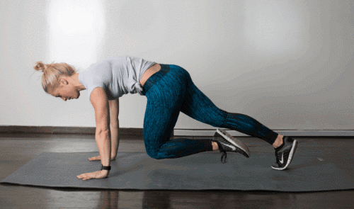 타바타 마운틴클라이머 동작입니다.