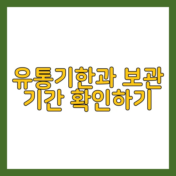 신선한 고기