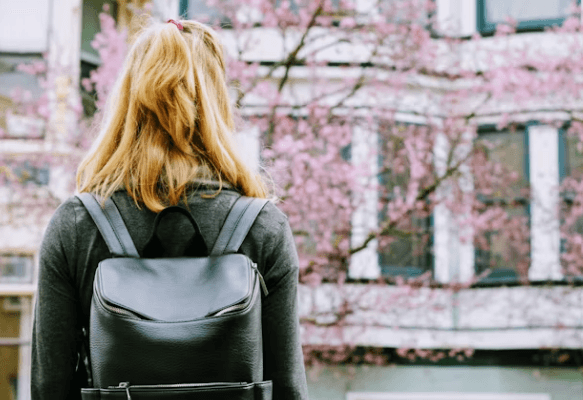 2026 정시 수시이월 총정리: 불수능 합격권 분석