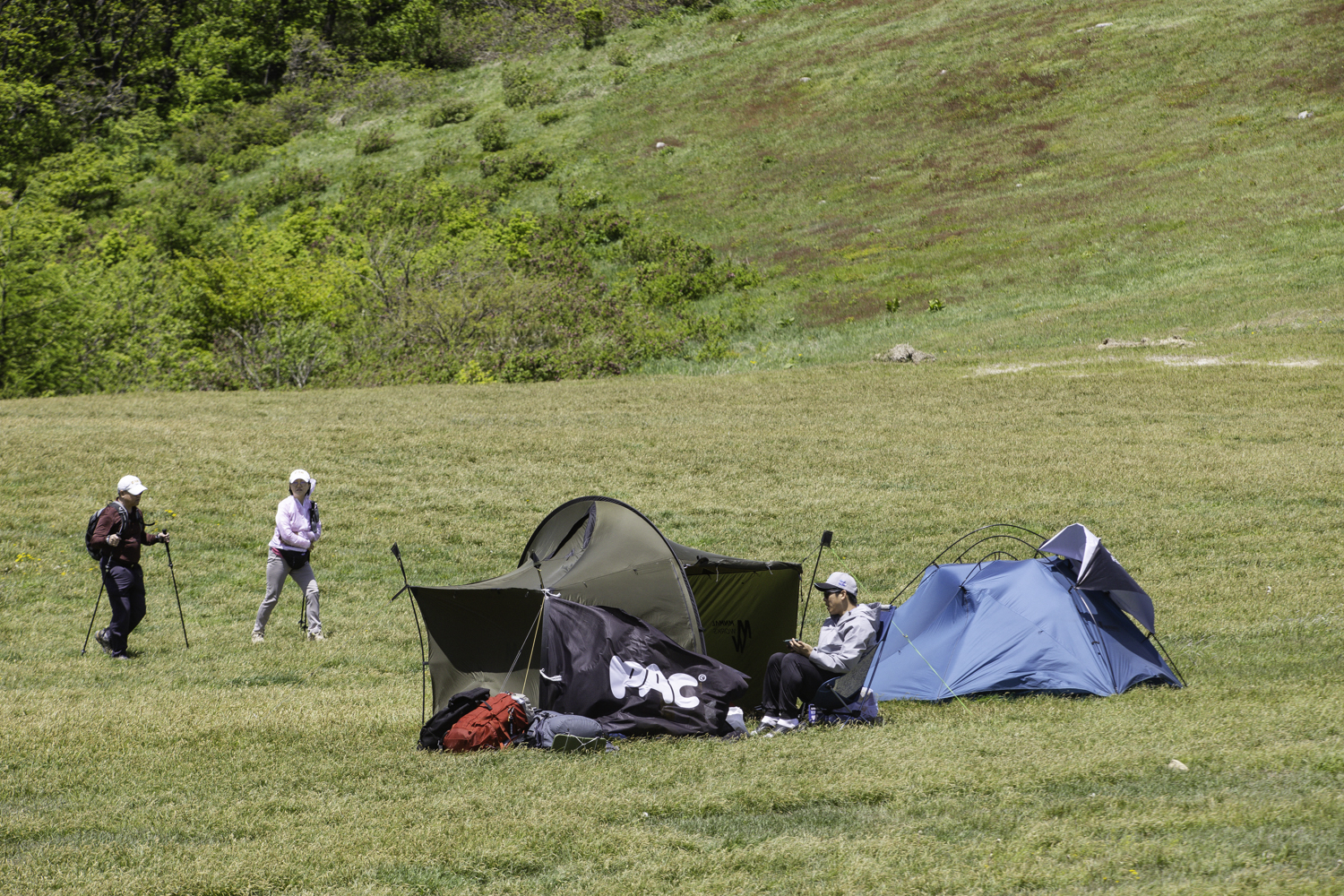 tnf100korea
tnf100gangwon
노스페이스 트레일러닝대회
선자령 트레일러닝