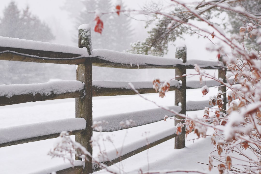 Winter padding.