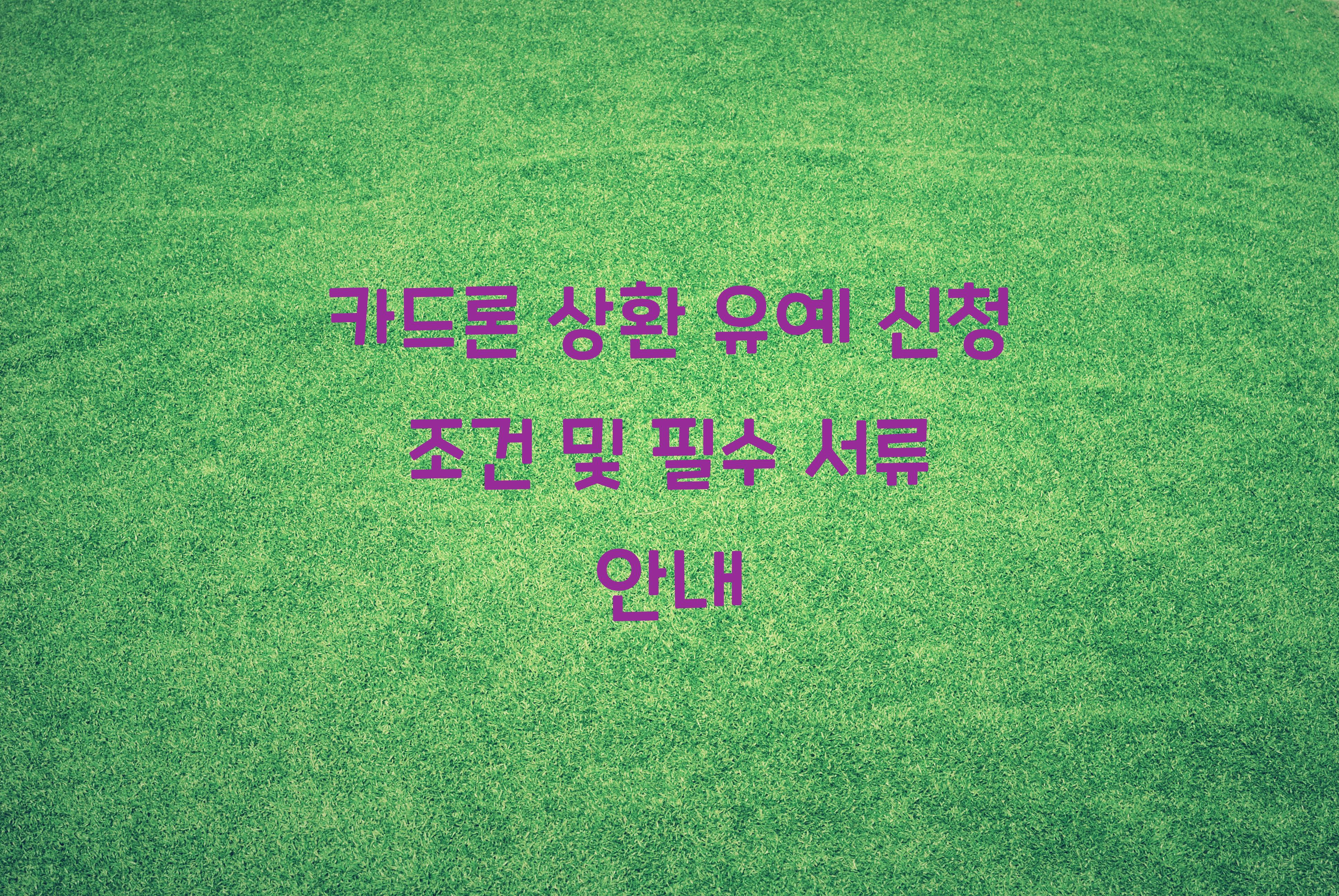 카드론 상환 유예 신청 조건