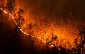 LA 산불 원인 산불지역 지도 위치 진화현황 산불 피해액