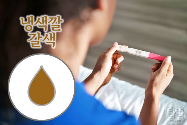 냉색깔 갈색 분홍색 임신