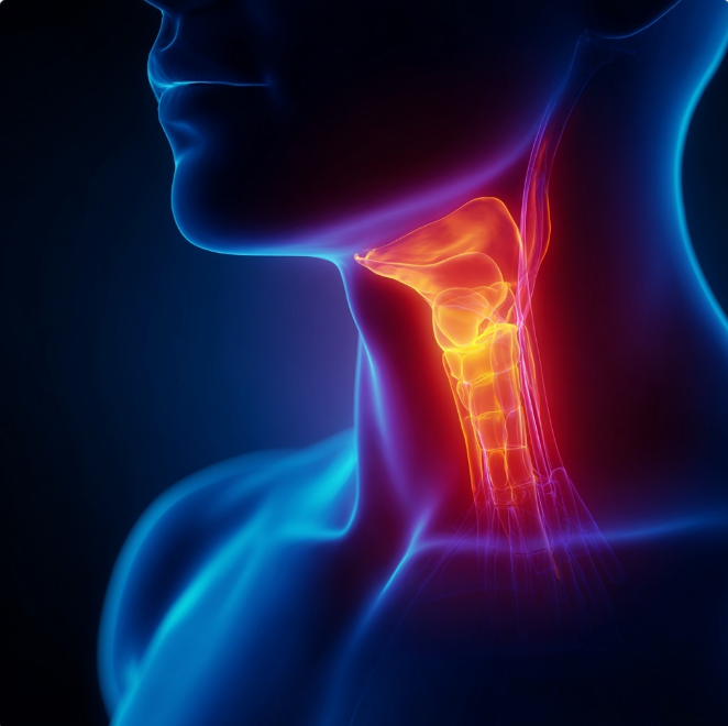 생체 기관지 사진