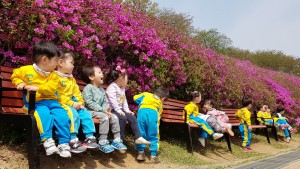 군포 철쭉축제